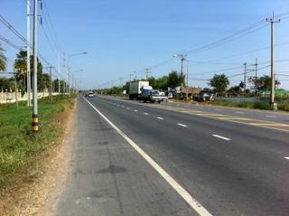 surin4.jpg