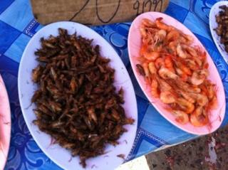 surin6.jpg