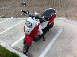 fino_red.jpg