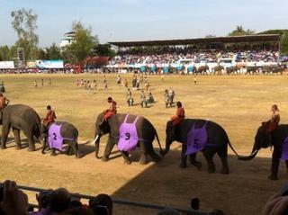 surin16.jpg