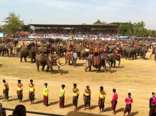 surin18.jpg
