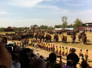 surin19.jpg